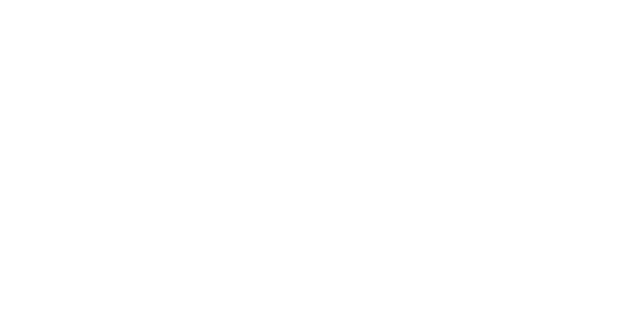 Fueltech